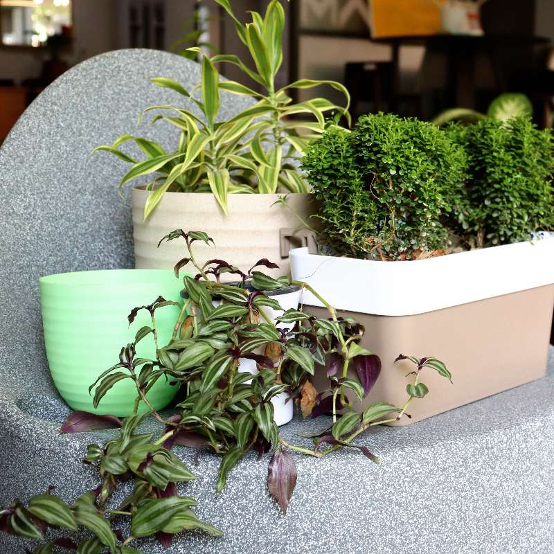 Indoor Planters Online India Home Decor & Garden Furniture SuKham Home