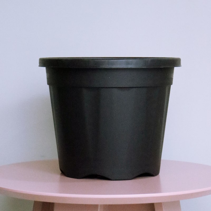 plastic pots for plants in india 10 INCH BLACK NURSERY POT