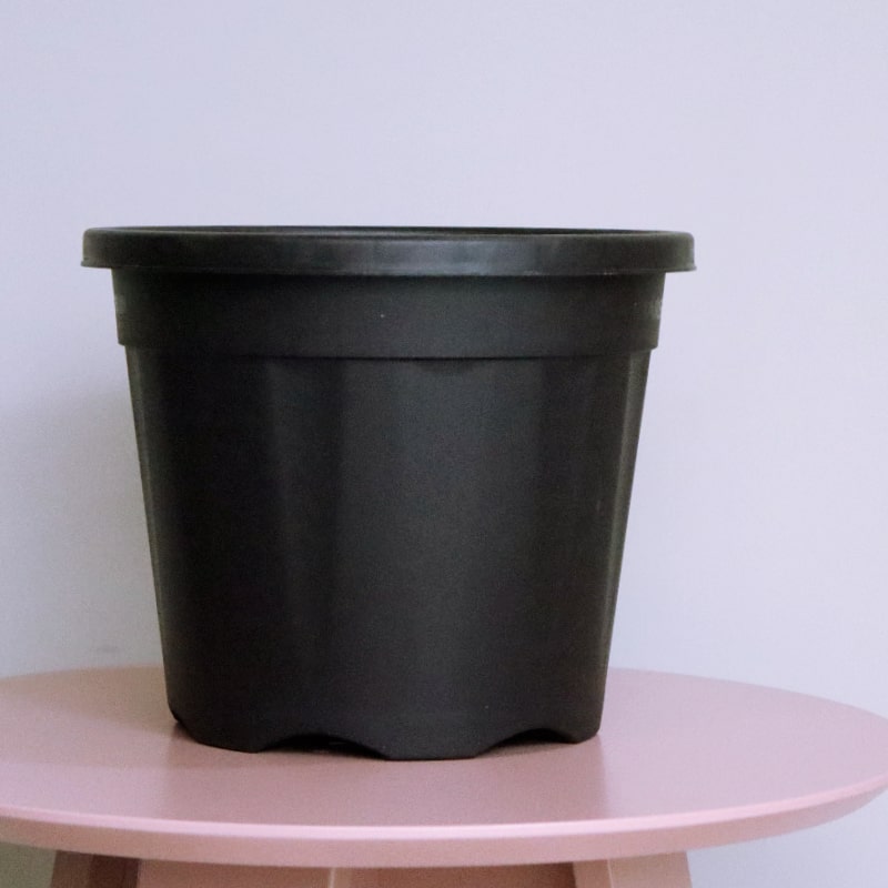 Close up of the 10 inch black nursery pot and gardening tools you can buy online at Sukham Home, a sustainable furniture, gardening and home decor store in Kolkata, India