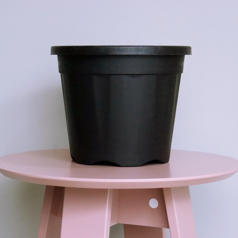 Distant view of the 10 inch black nursery pot and gardening tools you can buy online at Sukham Home, a sustainable furniture, gardening and home decor store in Kolkata, India
