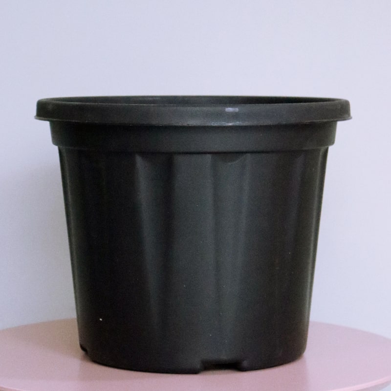 Close up of the 12 inch black nursery pot and gardening tools you can buy online at Sukham Home, a sustainable furniture, gardening and home decor store in Kolkata, India