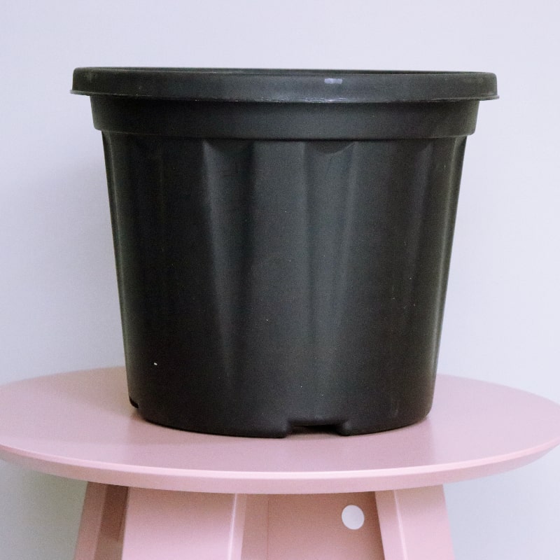 Distant view of the 12 inch black nursery pot and gardening tools you can buy online at Sukham Home, a sustainable furniture, gardening and home decor store in Kolkata, India