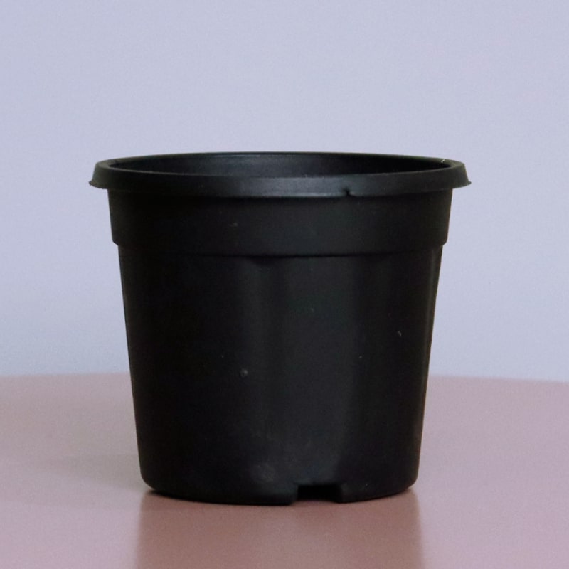 Close up of the 5 inch black nursery pot and gardening tools you can buy online at Sukham Home, a sustainable furniture, gardening and home decor store in Kolkata, India