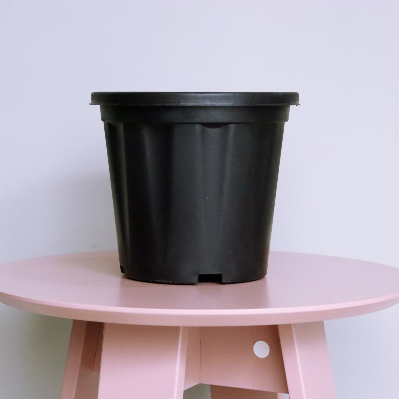 Placed on a pink table, the 8 inch black nursery pot and gardening tools you can buy online at Sukham Home, a sustainable furniture, gardening and home decor store in Kolkata, India