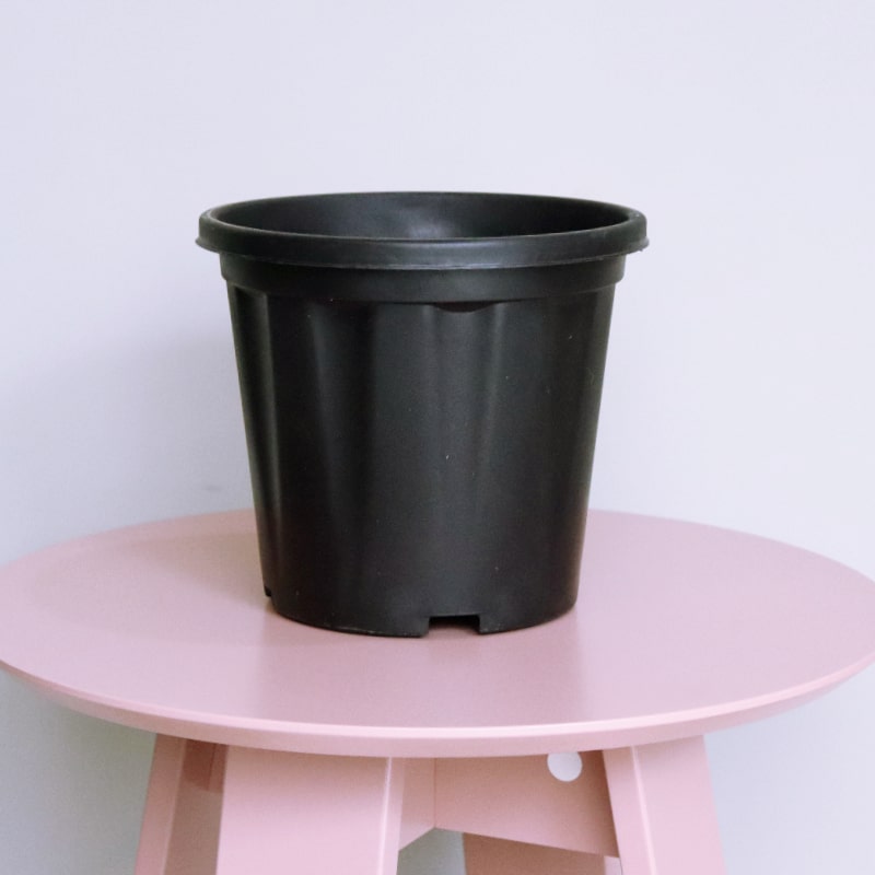 Top view of the 8 inch black nursery pot and gardening tools you can buy online at Sukham Home, a sustainable furniture, gardening and home decor store in Kolkata, India