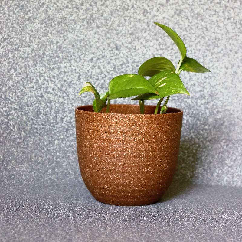 In size 11 and brown finish, the Verona Eco Series, a round textured indoor planter made from plastic and crop waste that you can buy online at Sukham Home, a sustainable furniture, gardening and home decor store in Kolkata, India
