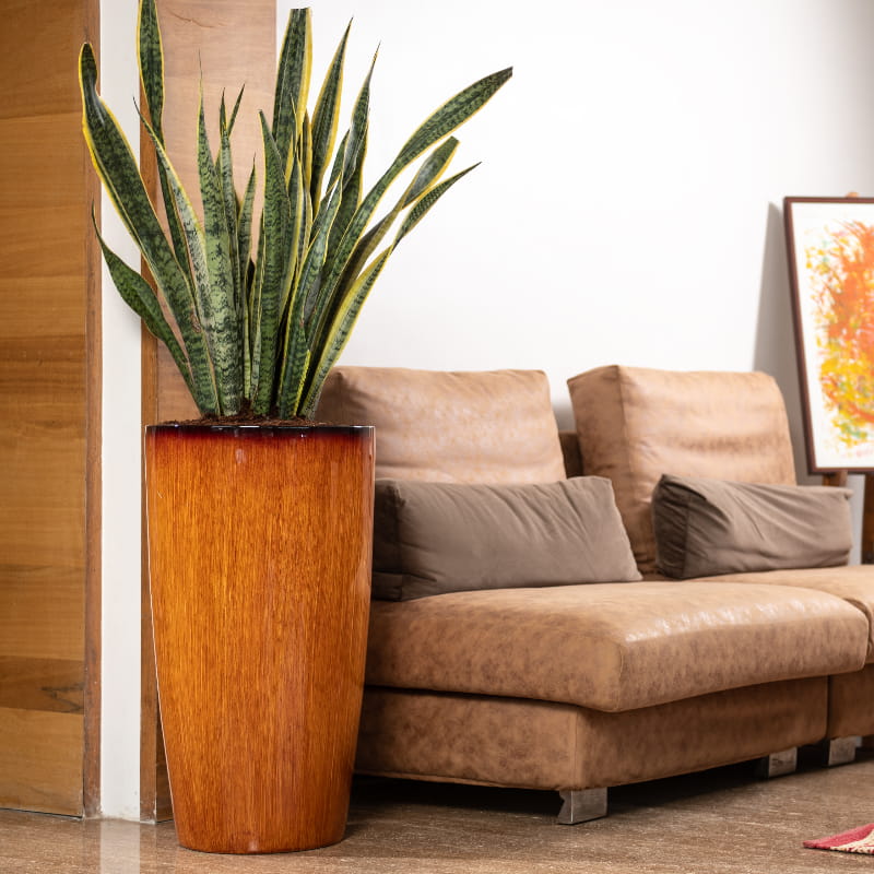 Glossy Teak Wood finish in the Cono, a large round tall textured luxury planter made from FRP you can buy online at Sukham Home, a sustainable furniture, gardening and home decor store in Kolkata, India