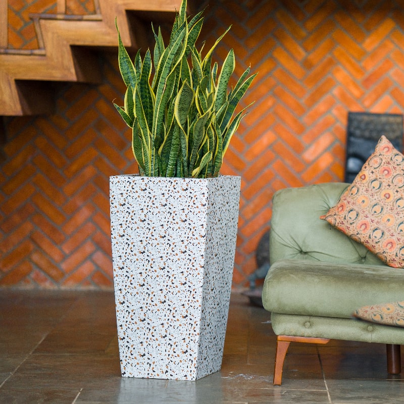 Kept outdoors, in terrazzo finish, the Cubico, a large square tall textured luxury planter made from FRP you can buy online at Sukham Home, a sustainable furniture, gardening and home decor store in Kolkata, India