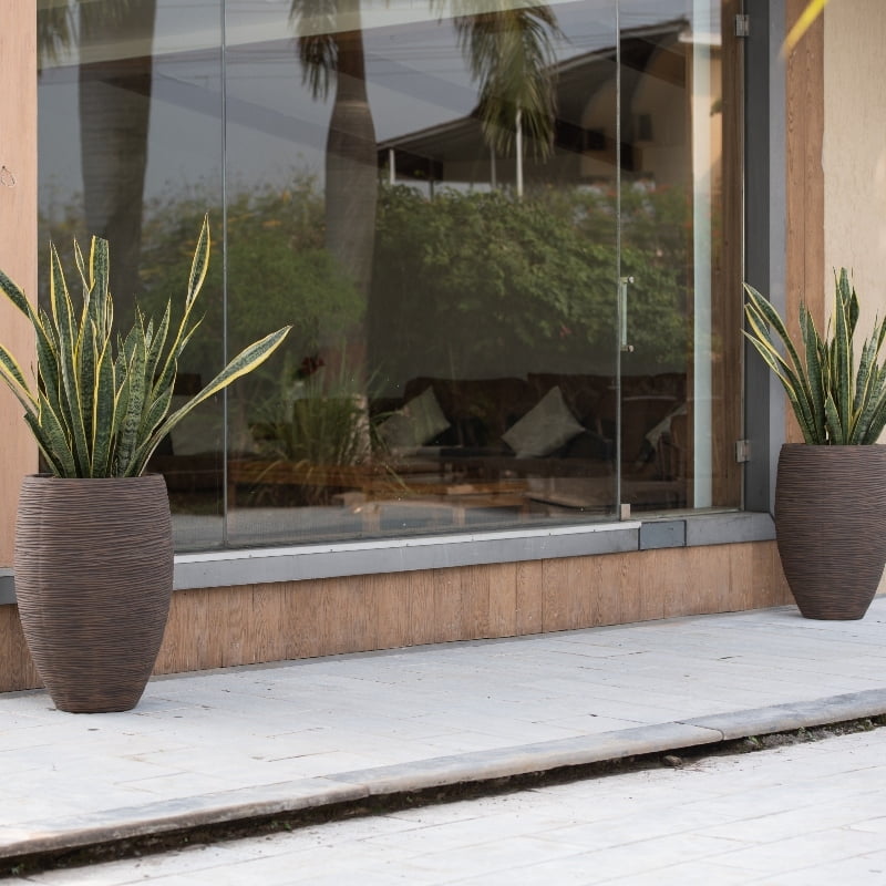 Placed outdoors, two Dark Brown Dual Tone Wood Rib High, a round tall textured luxury planter made from FRP you can buy online at Sukham Home, a sustainable furniture, gardening and home decor store in Kolkata, India