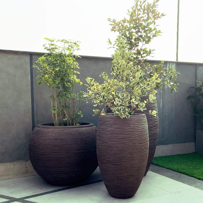 The whole set of Ribbed Luxury planters, including the Dark Brown Dual Tone Wood Rib High, a round tall textured luxury planter made from FRP you can buy online at Sukham Home, a sustainable furniture, gardening and home decor store in Kolkata, India