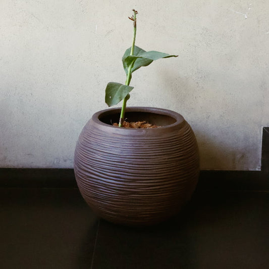With a calla lily, the Dark Brown Dual Tone Wood Rib Bowl, a round textured luxury planter made from FRP you can buy online at Sukham Home, a sustainable furniture, gardening and home decor store in Kolkata, India