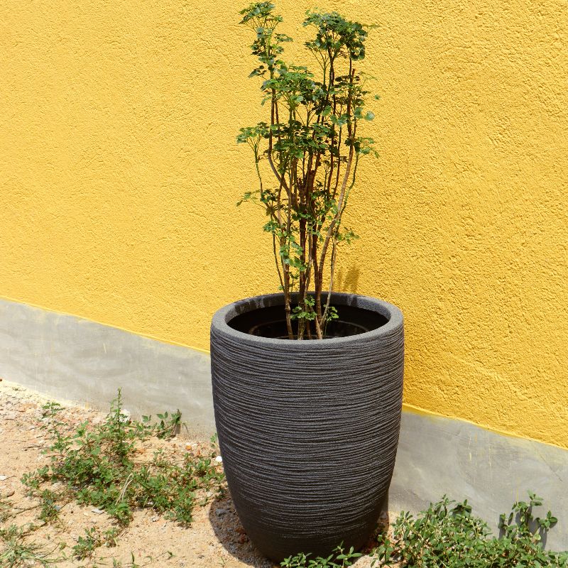 Big Grey Stone Rib Elegant, a round tall textured luxury planter made from FRP you can buy online at Sukham Home, a sustainable furniture, gardening and home decor store in Kolkata, India