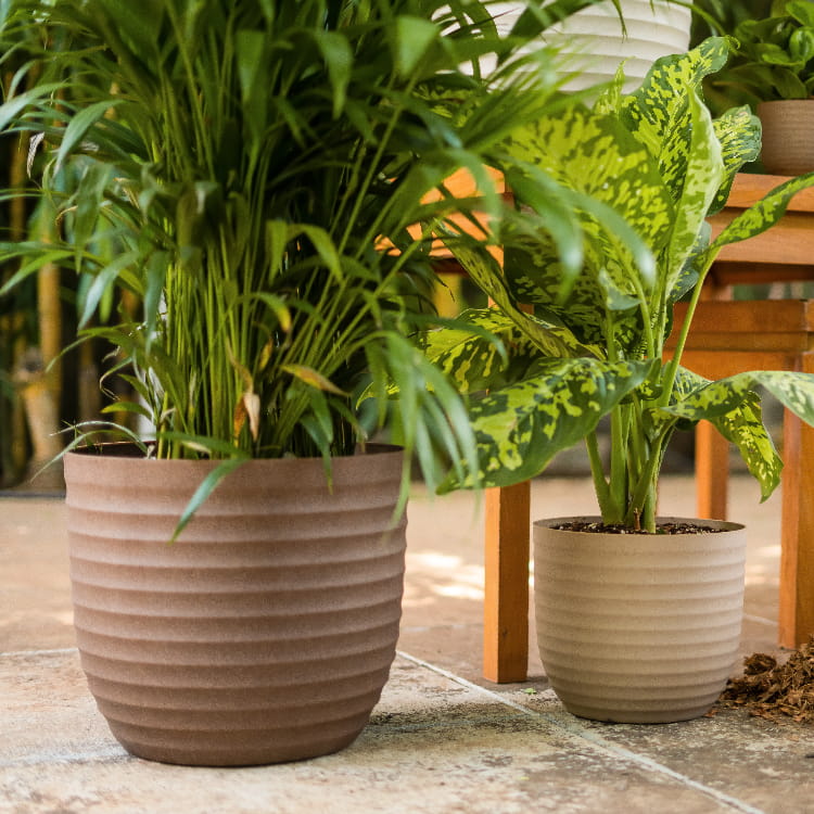 In cream and brown, the Verona Eco Series, a round textured indoor planter made from plastic and crop waste that you can buy online at Sukham Home, a sustainable furniture, gardening and home decor store in Kolkata, India