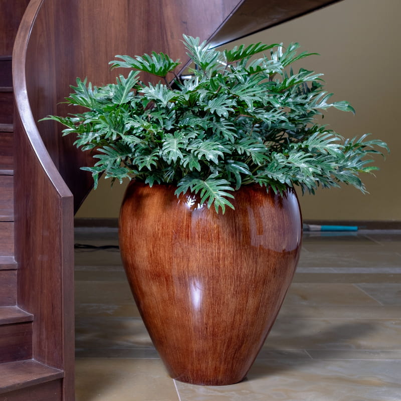 At the foot of the staircase, on the ground floor, the Walnut Wood Regal, a large round textured luxury planter made from FRP you can buy online at Sukham Home, a sustainable furniture, gardening and home decor store in Kolkata, India