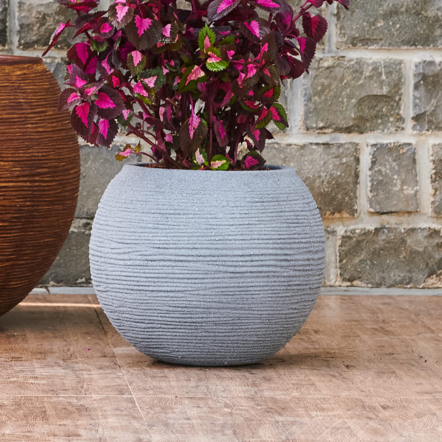 With plants inside, the Grey Stone Rib Bowl, a round textured luxury planter made from FRP you can buy online at Sukham Home, a sustainable furniture, gardening and home decor store in Kolkata, India