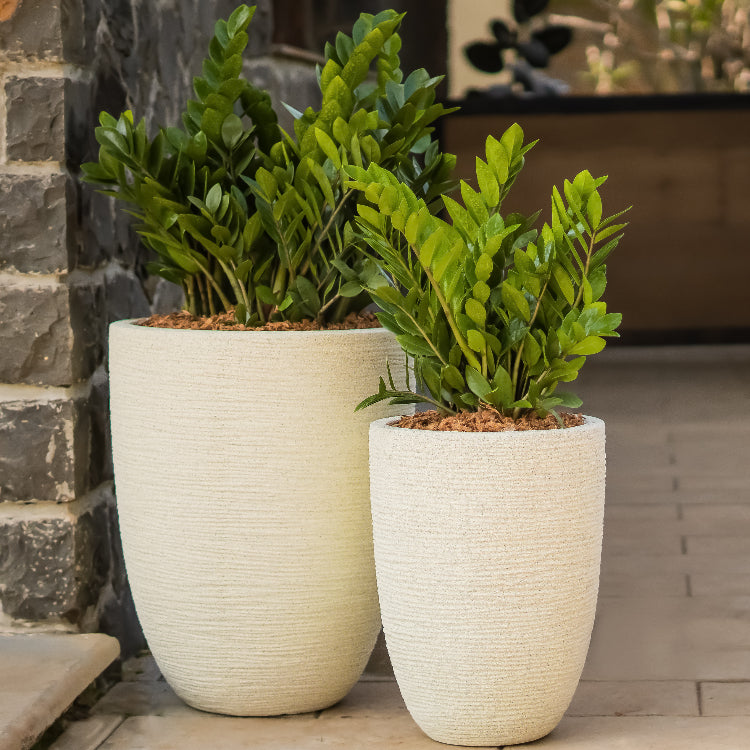 In White Stone finish, both sizes of the Rib Elegant, a round tall textured luxury planter made from FRP you can buy online at Sukham Home, a sustainable furniture, gardening and home decor store in Kolkata, India