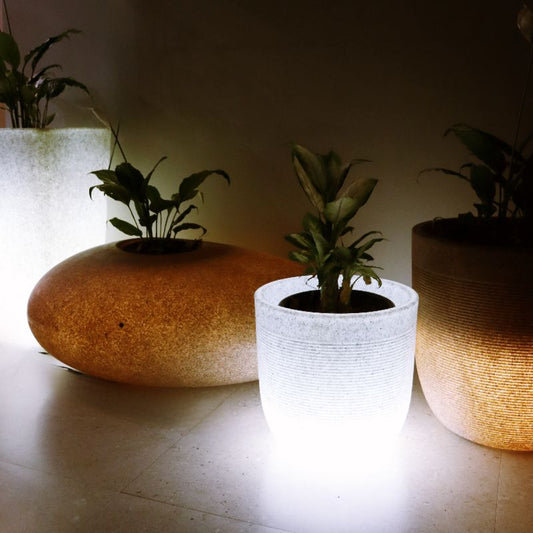 Illuminated Planters
