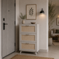 CHARM SHOE CABINET