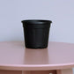 Placed on a pink table, the 4 inch black nursery pot and gardening tools you can buy online at Sukham Home, a sustainable furniture, gardening and home decor store in Kolkata, India