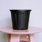 Placed on a pink table, the 8 inch black nursery pot and gardening tools you can buy online at Sukham Home, a sustainable furniture, gardening and home decor store in Kolkata, India