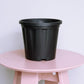 Top view of the 8 inch black nursery pot and gardening tools you can buy online at Sukham Home, a sustainable furniture, gardening and home decor store in Kolkata, India