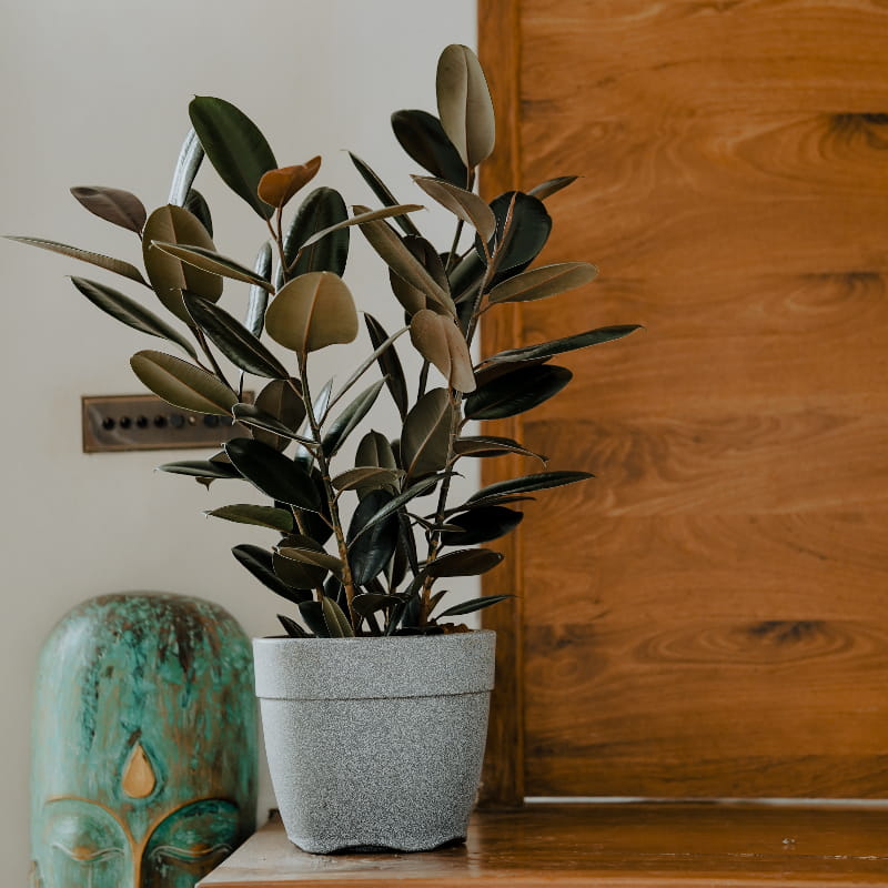 Placed outside a door with plants, the Grey Stone Barca Round, a circular stone finish plastic planter that looks like granite available at Sukham Home, a sustainable furniture, gardening and home decor store in Kolkata, India