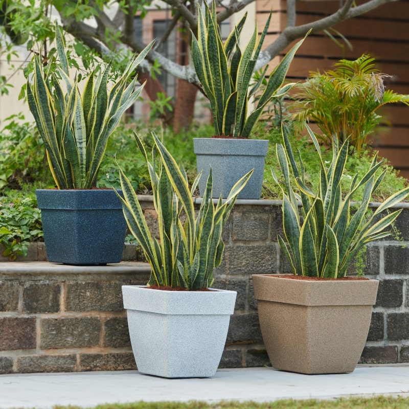 All stone finishes, the Barca Square, a square stone finish plastic planter that looks like granite available at Sukham Home, a sustainable furniture, gardening and home decor store in Kolkata, India