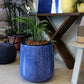 In a showroom, the Blue Ceramic Pearl, a round textured luxury planter made from FRP you can buy online at Sukham Home, a sustainable furniture, gardening and home decor store in Kolkata, India