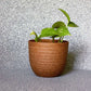 In size 11 and brown finish, the Verona Eco Series, a round textured indoor planter made from plastic and crop waste that you can buy online at Sukham Home, a sustainable furniture, gardening and home decor store in Kolkata, India