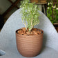 In size 22 and brown colour, the Verona Eco Series, a round textured indoor planter made from plastic and crop waste that you can buy online at Sukham Home, a sustainable furniture, gardening and home decor store in Kolkata, India