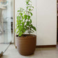 In size 33 and brown colour, the Verona Eco Series, a round textured indoor planter made from plastic and crop waste that you can buy online at Sukham Home, a sustainable furniture, gardening and home decor store in Kolkata, India