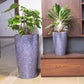 In both sizes, the Grey Ceramic finish of the Cono, a large round tall textured luxury planter made from FRP you can buy online at Sukham Home, a sustainable furniture, gardening and home decor store in Kolkata, India