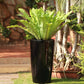 In plain black finish, the Cono, a large round tall textured luxury planter made from FRP you can buy online at Sukham Home, a sustainable furniture, gardening and home decor store in Kolkata, India
