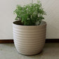 In size 33 and cream colour, the Verona Eco Series, a round textured indoor planter made from plastic and crop waste that you can buy online at Sukham Home, a sustainable furniture, gardening and home decor store in Kolkata, India