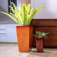 In glossy Teak Wood and Walnut Wood finishes, the Cubico, a large square tall textured luxury planter made from FRP you can buy online at Sukham Home, a sustainable furniture, gardening and home decor store in Kolkata, India