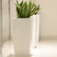 In white glossy finish, the Cubico, a large square tall textured luxury planter made from FRP you can buy online at Sukham Home, a sustainable furniture, gardening and home decor store in Kolkata, India
