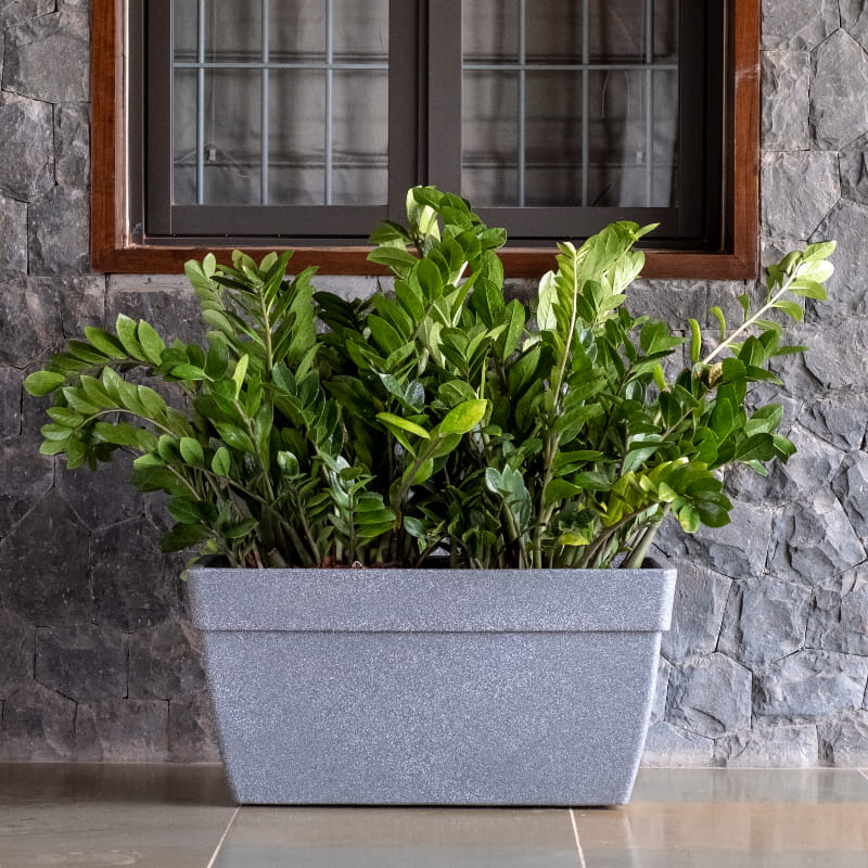 Placed outside a window, the Grey Stone Barca Rectangle, a rectangle stone finish plastic planter that looks like granite available at Sukham Home, a sustainable furniture, gardening and home decor store in Kolkata, India