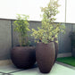 The whole set of Ribbed Luxury planters, including the Dark Brown Dual Tone Wood Rib High, a round tall textured luxury planter made from FRP you can buy online at Sukham Home, a sustainable furniture, gardening and home decor store in Kolkata, India