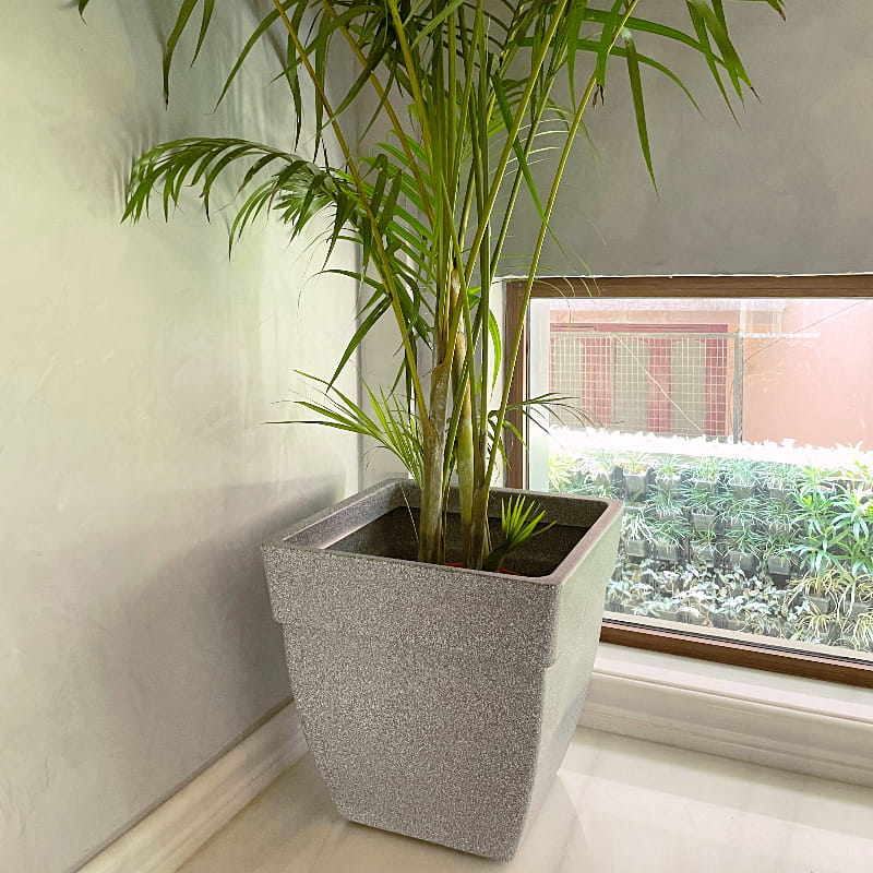 In the lobby of a house, the Grey Stone Barca Square, a square stone finish plastic planter that looks like granite available at Sukham Home, a sustainable furniture, gardening and home decor store in Kolkata, India