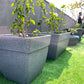 On a rooftop terrace, the Grey Stone Barca Square, a square stone finish plastic planter that looks like granite available at Sukham Home, a sustainable furniture, gardening and home decor store in Kolkata, India