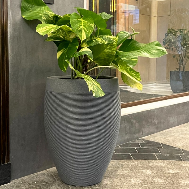 Placed in a driveway, the Grey Stone Milano High, a round tall stone finish plastic planter that looks like granite available at Sukham Home, a sustainable furniture, gardening and home decor store in Kolkata, India