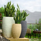 Grey Stone, White Stone and Sand Stone Rib High, a round tall textured luxury planter made from FRP you can buy online at Sukham Home, a sustainable furniture, gardening and home decor store in Kolkata, India