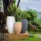 White Stone and Grey Stone with snake plant, the Rib High, a round tall textured luxury planter made from FRP you can buy online at Sukham Home, a sustainable furniture, gardening and home decor store in Kolkata, India