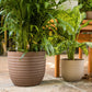In cream and brown, the Verona Eco Series, a round textured indoor planter made from plastic and crop waste that you can buy online at Sukham Home, a sustainable furniture, gardening and home decor store in Kolkata, India