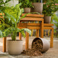 In cream finish, two Verona Eco Series, a round textured indoor planter made from plastic and crop waste that you can buy online at Sukham Home, a sustainable furniture, gardening and home decor store in Kolkata, India