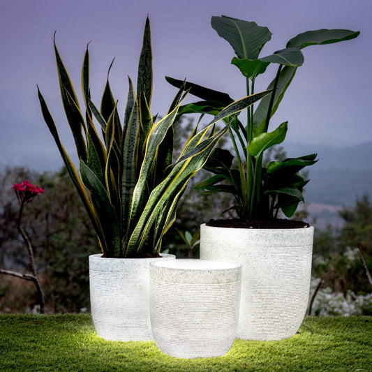 Arranged in a garden, a set of 3 Milano with LED, a round stone finish plastic planter with light that looks like granite available at Sukham Home, a sustainable furniture, gardening and home decor store in Kolkata, India