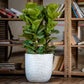 Without the light on, the Milano with LED, a round stone finish plastic planter with light that looks like granite available at Sukham Home, a sustainable furniture, gardening and home decor store in Kolkata, India