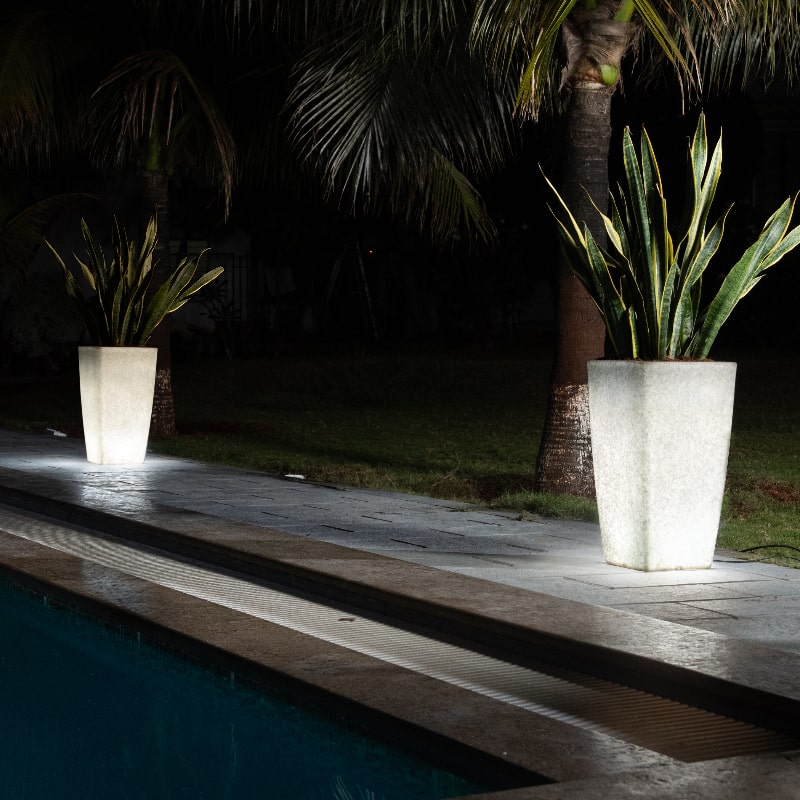 Placed by the pool, with the snake plant, two Paris, a tall square stone finish plastic planter that looks like granite and comes with LED lights available at Sukham Home, a sustainable furniture, gardening and home decor store in Kolkata, India