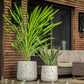 In two sizes, the Italian Marble Pearl, a round textured luxury planter made from FRP you can buy online at Sukham Home, a sustainable furniture, gardening and home decor store in Kolkata, India