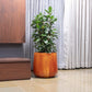 In the living room in the house, the Yellow Ceramic Pearl, a round textured luxury planter made from FRP you can buy online at Sukham Home, a sustainable furniture, gardening and home decor store in Kolkata, India